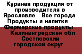 Куриная продукция от производителя в Ярославле - Все города Продукты и напитки » Фермерские продукты   . Калининградская обл.,Светловский городской округ 